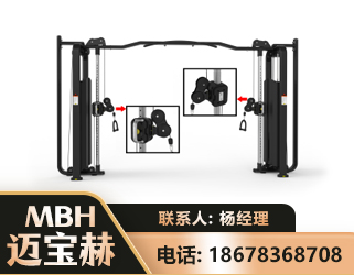 丽江大飞鸟训练器